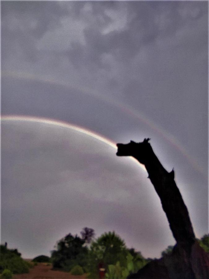 Chimera Pia Aparts Çıralı Extérieur photo